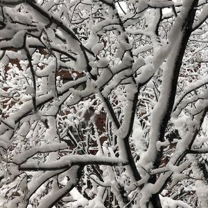 Meet your Posher, Michele